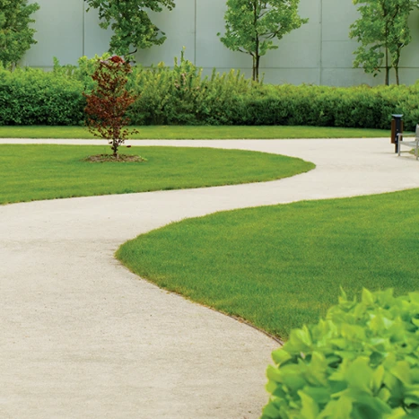 Modern living area with wooden divider
